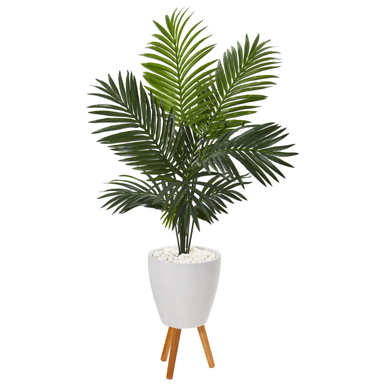 Primrue 61" Artificial Palm Tree in Planter Wayfair